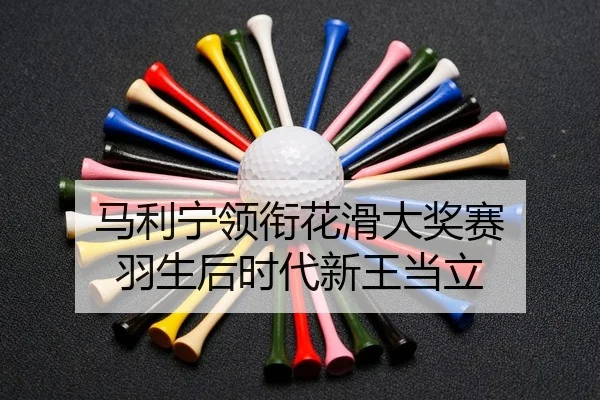 ma-li-ning-ling-xian-hua-hua-da-jiang-sai-yu-sheng-hou-shi-dai-xin-wang-dang-li-2-717.jpg
